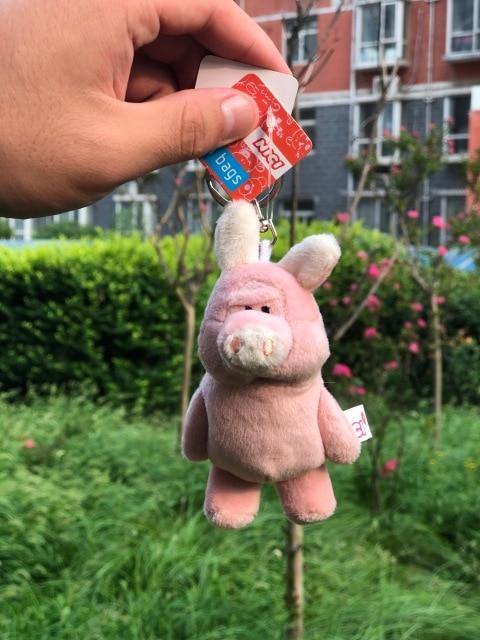 Planet Gates Pinkish Grey / China Cute Cartoon Bear Elephant Raccoon Monkey Animal Plush Toy Keychain Backpack Bag Keychain Shark Dinosaur Lion Omelette Cute Gift