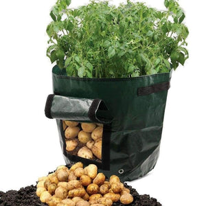 Planet Gates Plant Grow Bag DIY Potato Grow Planter PE Cloth Tomato Planting Container Bag Thicken Garden Pot Garden Supplies