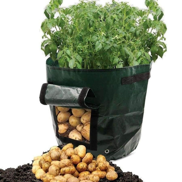 Planet Gates Plant Grow Bag DIY Potato Grow Planter PE Cloth Tomato Planting Container Bag Thicken Garden Pot Garden Supplies