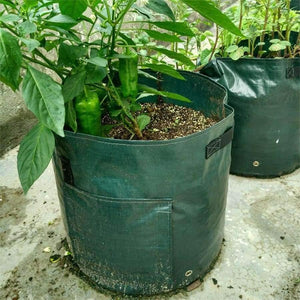 Planet Gates Plant Grow Bag DIY Potato Grow Planter PE Cloth Tomato Planting Container Bag Thicken Garden Pot Garden Supplies