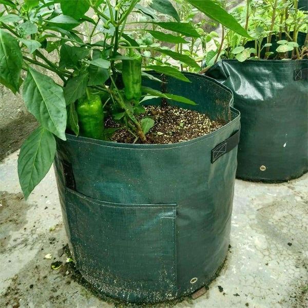 Planet Gates Plant Grow Bag DIY Potato Grow Planter PE Cloth Tomato Planting Container Bag Thicken Garden Pot Garden Supplies