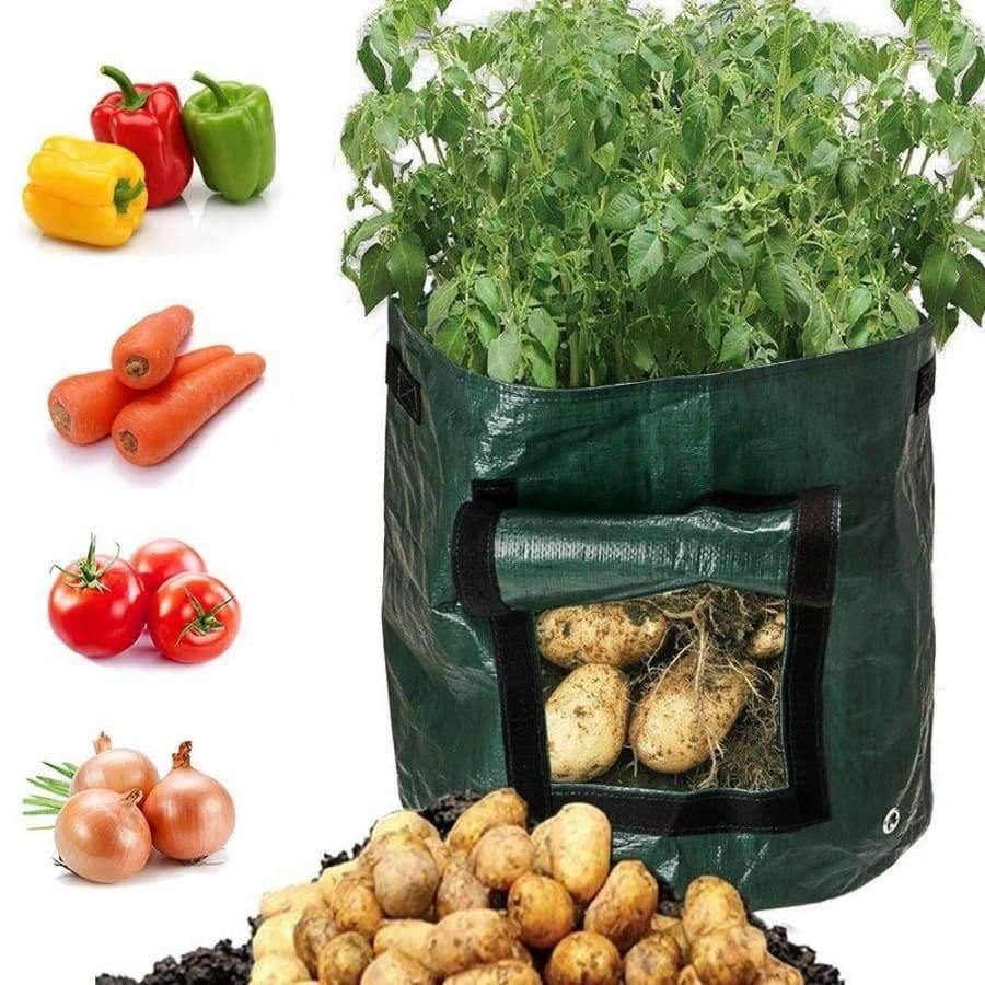 Planet Gates Plant Grow Bag DIY Potato Grow Planter PE Cloth Tomato Planting Container Bag Thicken Garden Pot Garden Supplies
