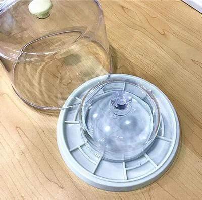 Planet Gates Plastic Transparent Double Dust Cover Watchmaker Watch Parts