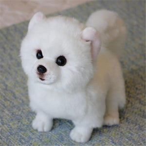 Planet Gates Pomeranian 28x13x24 9 Kinds Dog Simulation Bichon Frise Plush Dog Toy Super Cute Likelife Corgi Dog Doll Stuffed Animal Maltese Dog Puppy Pets Toys