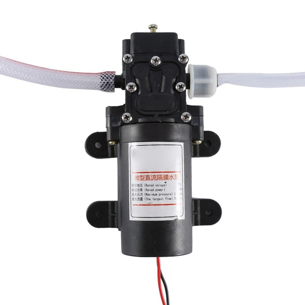 Planet Gates Professional Electric 12V Mini Oil Pump Diesel Fuel Engine Extractor Transfer Self-Priming To Exchange Car