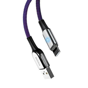 Planet Gates Purple / 50cm Baseus Lighting USB Cable For iPhone X XS Max XR 8 7 6 6s Plus SE iPad Fast Charging Charger Cable Data 2.4A Mobile Phone Cable