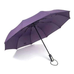 Planet Gates Purple / China Fully-automatic Three Folding Male Commercial Compact Large Strong Frame Windproof 10Ribs Gentle Black Umbrellas