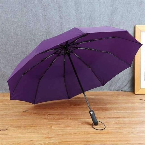 Planet Gates Purple / China New Big Strong Fashion Windproof Men Gentle Folding Compact Fully Automatic Rain High Quality Pongee Umbrellas