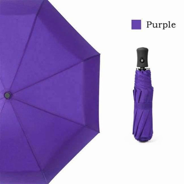 Planet Gates Purple / Russian Federation Men Business Automatic Umbrella Female Windproof Stainless Steel Umbrellas Rain Women Folding Summer Umbrella UBY03