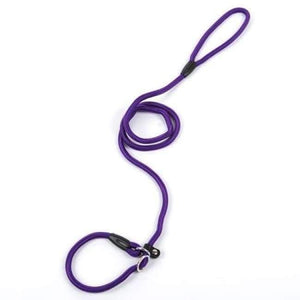 Planet Gates Purple / S Pet Products Golden Teddy Dog Traction Rope Chain Large Dog Collar P Dog Leash Comfortable Nylon Material 5Colors