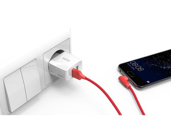 Planet Gates PZOZ USB Charger 2a Fast Charging Travel EU Plug Adapter portable Wall charger Mobile Phone cable Dual usb US Plug Charger