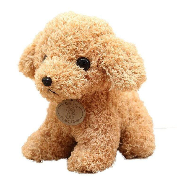 Planet Gates Real Life Teddy Dog Poodle Plush Toys Suffed Animal Doll For Christmas Birthday Gift Free Shipping