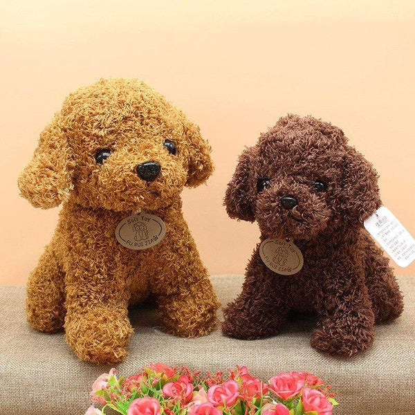 Planet Gates Real Life Teddy Dog Poodle Plush Toys Suffed Animal Doll For Christmas Birthday Gift Free Shipping