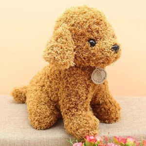 Planet Gates Real Life Teddy Dog Poodle Plush Toys Suffed Animal Doll For Christmas Birthday Gift Free Shipping