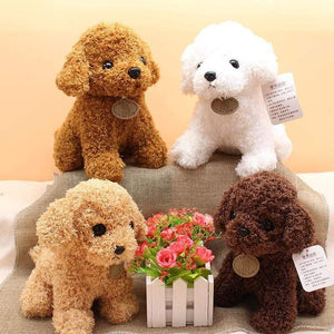Planet Gates Real Life Teddy Dog Poodle Plush Toys Suffed Animal Doll For Christmas Birthday Gift Free Shipping