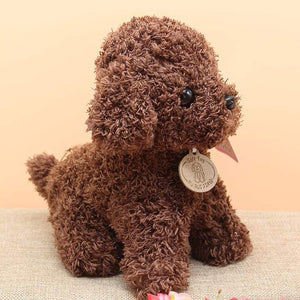 Planet Gates Real Life Teddy Dog Poodle Plush Toys Suffed Animal Doll For Christmas Birthday Gift Free Shipping