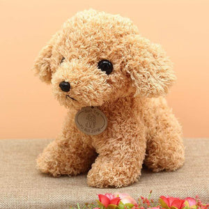 Planet Gates Real Life Teddy Dog Poodle Plush Toys Suffed Animal Doll For Christmas Birthday Gift Free Shipping