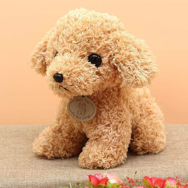 Planet Gates Real Life Teddy Dog Poodle Plush Toys Suffed Animal Doll For Christmas Birthday Gift Free Shipping