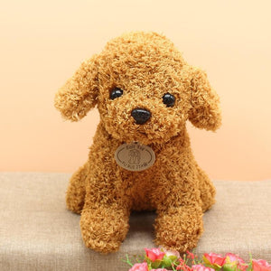 Planet Gates Real Life Teddy Dog Poodle Plush Toys Suffed Animal Doll For Christmas Birthday Gift Free Shipping