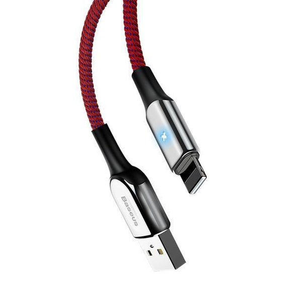 Planet Gates Red / 50cm Baseus Lighting USB Cable For iPhone X XS Max XR 8 7 6 6s Plus SE iPad Fast Charging Charger Cable Data 2.4A Mobile Phone Cable