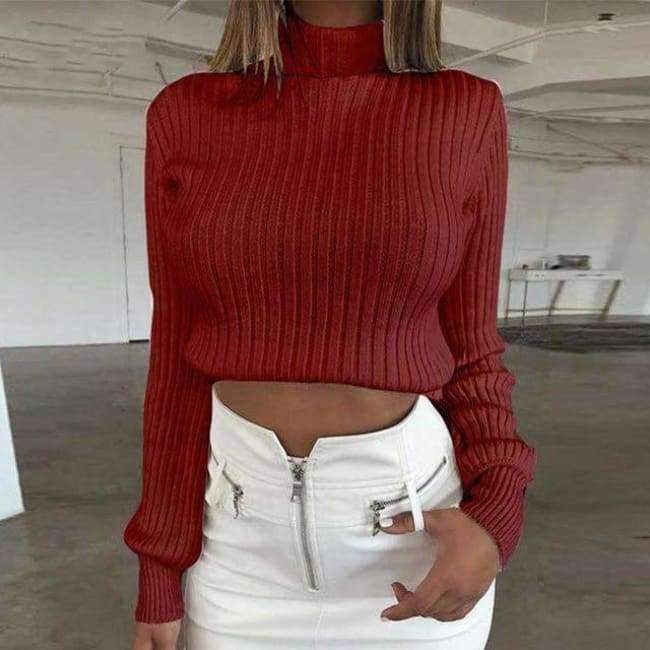 Planet Gates Black / L Casual Sweaters Cotton Winter Long Sleeve Crop Top 2018 Autumn Knitted Pullover Ladies High Neck Sweaters Female Mujer