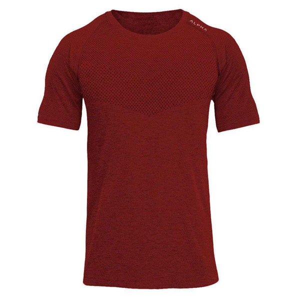 Compression Quick dry Shirts Mens Gyms Fitness T-shirt Superelastic Skinny Tee shirt Tops Summer Jogger Crossfit Brand Clothing