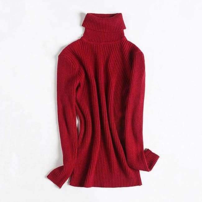 Planet Gates Turtleneck Warm Women Sweater Autumn Winter Knitted Femme Pull High Elasticity Soft Female Pullovers Sweater Jumper