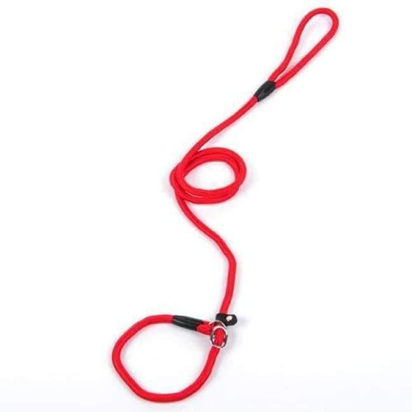 Planet Gates Red / S Pet Products Golden Teddy Dog Traction Rope Chain Large Dog Collar P Dog Leash Comfortable Nylon Material 5Colors