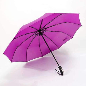 Planet Gates Red2 / China Fully-automatic Three Folding Male Commercial Compact Large Strong Frame Windproof 10Ribs Gentle Black Umbrellas