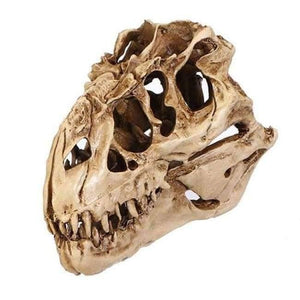 Planet Gates Resin Crafts Dinosaur Tooth Skull Fossil Teaching Skeleton Model Halloween Home Office Halloween Decoration Drop Shipping