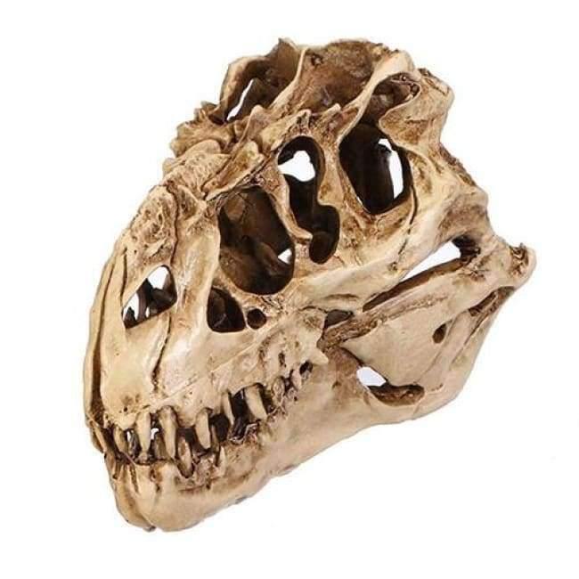 Planet Gates Resin Crafts Dinosaur Tooth Skull Fossil Teaching Skeleton Model Halloween Home Office Halloween Decoration Drop Shipping