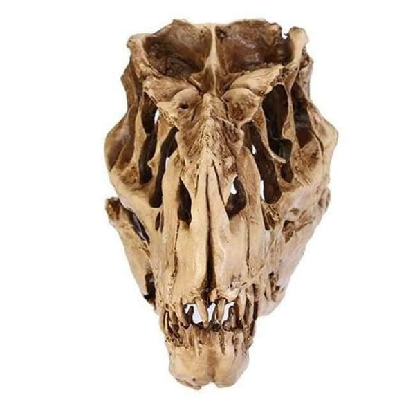 Planet Gates Resin Crafts Dinosaur Tooth Skull Fossil Teaching Skeleton Model Halloween Home Office Halloween Decoration Drop Shipping