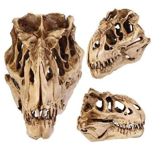 Planet Gates Resin Crafts Dinosaur Tooth Skull Fossil Teaching Skeleton Model Halloween Home Office Halloween Decoration Drop Shipping