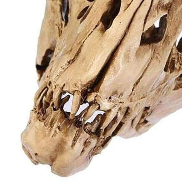 Planet Gates Resin Crafts Dinosaur Tooth Skull Fossil Teaching Skeleton Model Halloween Home Office Halloween Decoration Drop Shipping