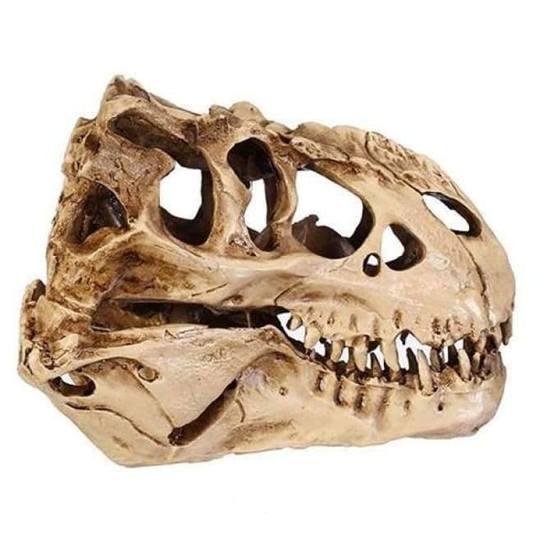 Planet Gates Resin Crafts Dinosaur Tooth Skull Fossil Teaching Skeleton Model Halloween Home Office Halloween Decoration Drop Shipping