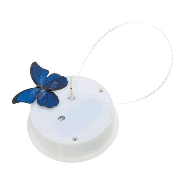 Planet Gates Romantic Glass LED butterfly jar with lamp Valentine Children Gift Decoration Blue led light