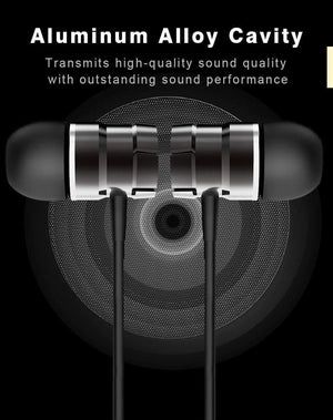 Planet Gates Rose Earphone / China Rock In-Ear Metal Earphones Stereo Headset 3.5mm inear Wired Earphone With Microphone