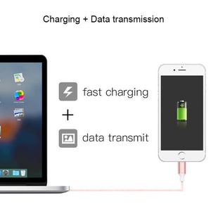 Planet Gates Rose Gold / 100cm Baseus USB Cable For iPhone X 8 5 5s 6s 6 7 Mobile Phone 2A Fast Charging Cable Data Sync Charger Cable Wire For IOS 8 9 10 11