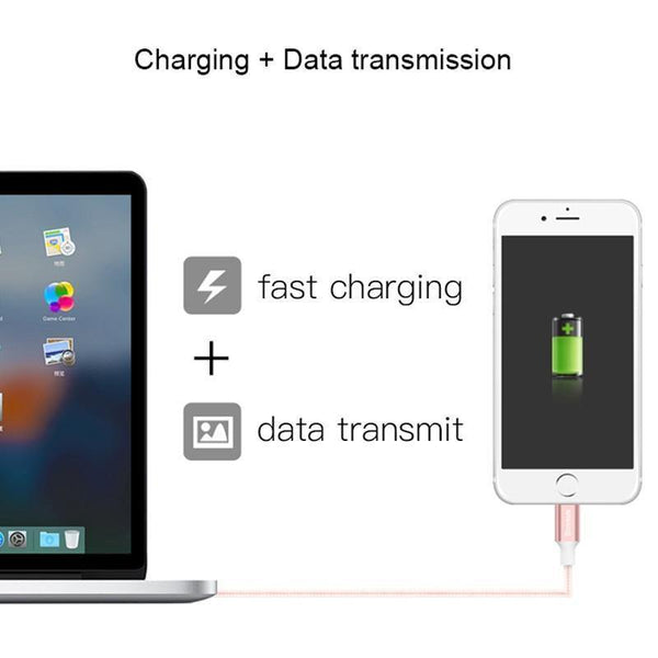 Planet Gates Rose Gold / 100cm Baseus USB Cable For iPhone X 8 5 5s 6s 6 7 Mobile Phone 2A Fast Charging Cable Data Sync Charger Cable Wire For IOS 8 9 10 11