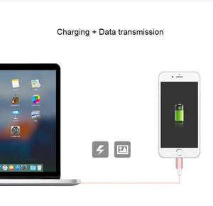 Planet Gates Rose Gold / 100cm Baseus USB Cable For iPhone X 8 5 5s 6s 6 7 Mobile Phone 2A Fast Charging Cable Data Sync Charger Cable Wire For IOS 8 9 10 11