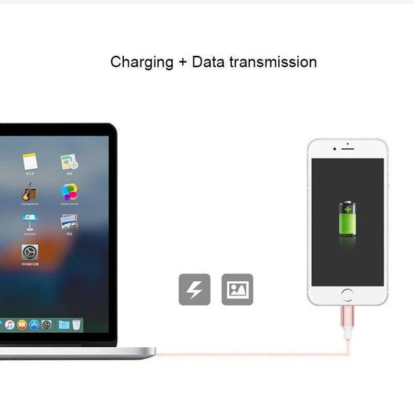 Planet Gates Rose Gold / 100cm Baseus USB Cable For iPhone X 8 5 5s 6s 6 7 Mobile Phone 2A Fast Charging Cable Data Sync Charger Cable Wire For IOS 8 9 10 11