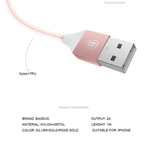 Planet Gates Rose Gold / 100cm Baseus USB Cable For iPhone X 8 5 5s 6s 6 7 Mobile Phone 2A Fast Charging Cable Data Sync Charger Cable Wire For IOS 8 9 10 11
