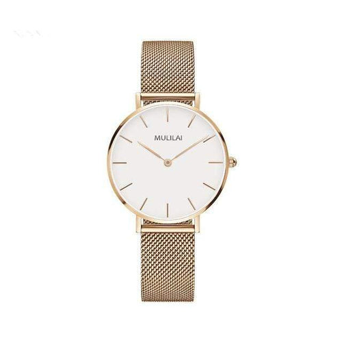 Planet Gates ROSE White Luxury Ultra Thin Gold Steel Mesh Watches Women Dress 32mm DW Style Fashion Quartz Lovers Watch's Gift for Girl