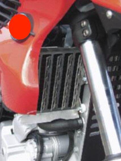 Silver Radiator Grille Guard Cover Protector Motorcycle Parts For  G650GS F650GS Dakar (Silver)