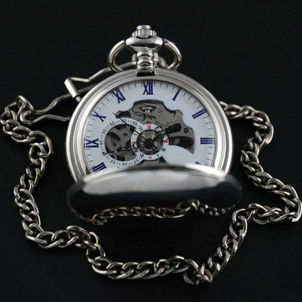 Planet Gates Silver Silver Stainless Steel Classic Full Hunter Mechanical FOB Pocket Watch Steampunk Hand Wind Men Women Clock Gifts