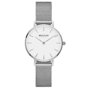 Planet Gates Silver White Luxury Ultra Thin Gold Steel Mesh Watches Women Dress 32mm DW Style Fashion Quartz Lovers Watch's Gift for Girl