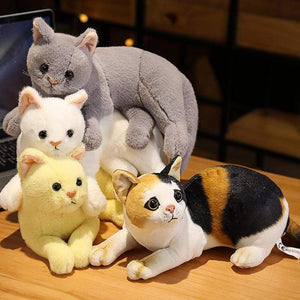Planet Gates Simulation Pillow Cat Plush Toys Realistic Animal Pet Children Home Decoration Holiday Christmas Gift