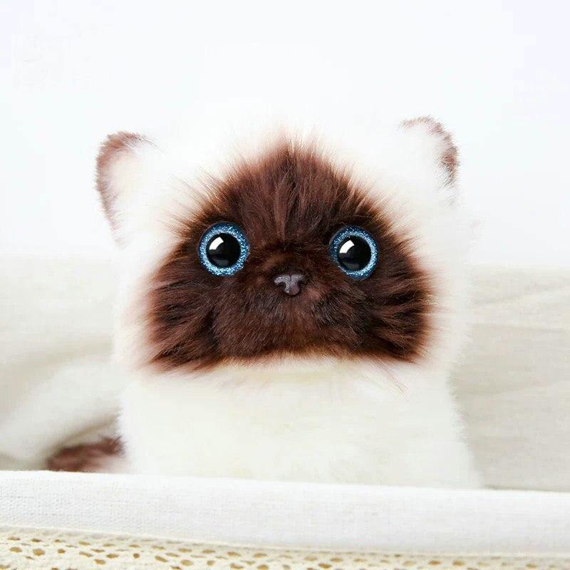 Simulation Siamese Cat Plush Toy Blue Sequins Eyes Cat Plush Doll Brown And White Face Ragdoll Plush Cat Home Decor Doll Toys