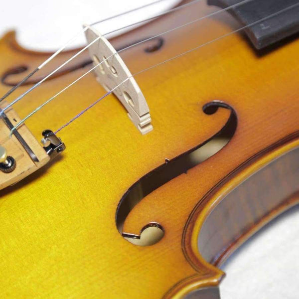 Planet Gates Size 4 4 Board Backplate Musical Instrument Handmade Antique Violin Natural Stripes Maple Violino Fiddle 4/4 3/4 1/2 1/4 1/8
