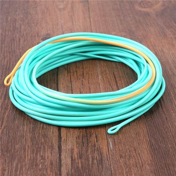 Planet Gates Skagit Shooting Head Fly Fishing Line With 2 Welded Loops 17-29FT 200-650gr Double Color Floating Fly Line